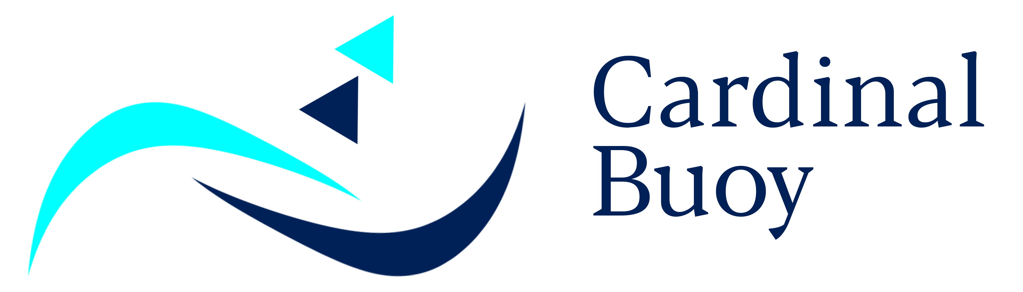 cardinal buoy financials logo